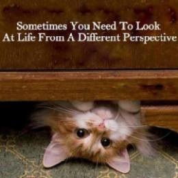 life different perspective